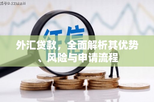 乌拉特后旗外汇贷款，全面解析其优势、风险与申请流程