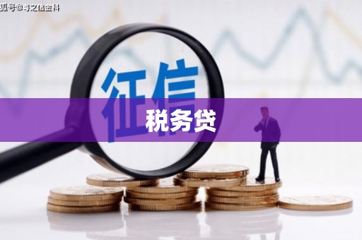 乌拉特后旗税务贷