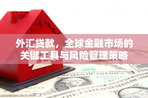 乌拉特后旗外汇贷款，全球金融市场的关键工具与风险管理策略