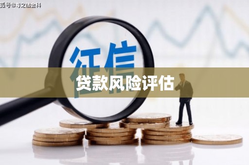 乌拉特后旗贷款风险评估