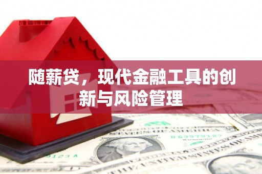乌拉特后旗随薪贷，现代金融工具的创新与风险管理