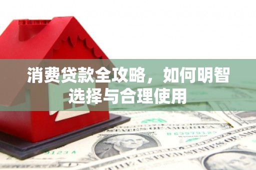 乌拉特后旗消费贷款全攻略，如何明智选择与合理使用