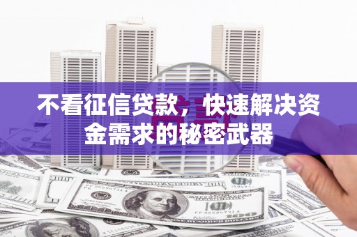 乌拉特后旗不看征信贷款，快速解决资金需求的秘密武器
