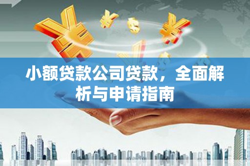 乌拉特后旗小额贷款公司贷款，全面解析与申请指南