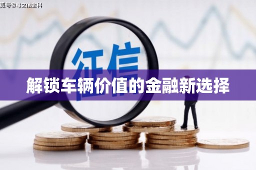 乌拉特后旗解锁车辆价值的金融新选择