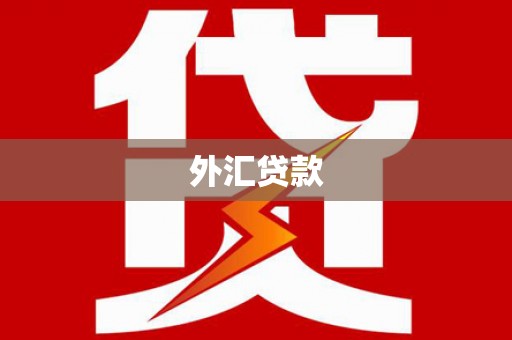乌拉特后旗外汇贷款