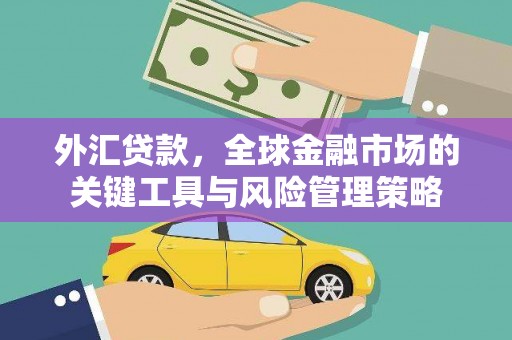乌拉特后旗外汇贷款，全球金融市场的关键工具与风险管理策略