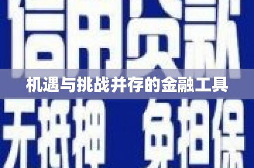 乌拉特后旗机遇与挑战并存的金融工具