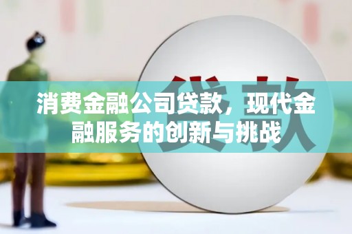 乌拉特后旗消费金融公司贷款，现代金融服务的创新与挑战