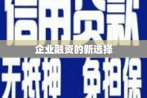 乌拉特后旗企业融资的新选择