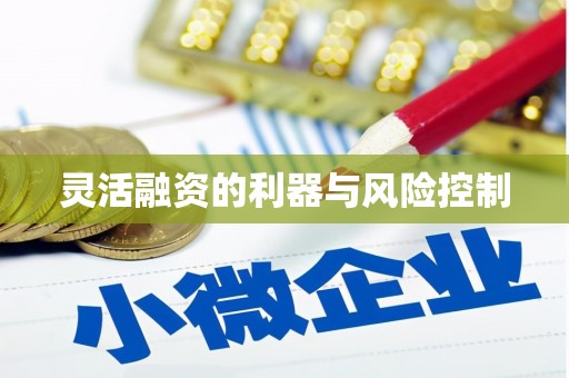 乌拉特后旗灵活融资的利器与风险控制
