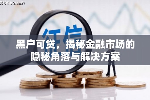 乌拉特后旗黑户可贷，揭秘金融市场的隐秘角落与解决方案
