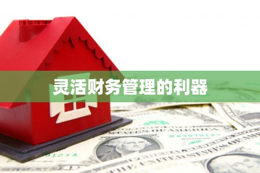 乌拉特后旗灵活财务管理的利器