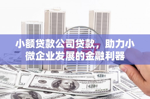 乌拉特后旗小额贷款公司贷款，助力小微企业发展的金融利器