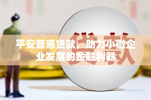 乌拉特后旗平安普惠贷款，助力小微企业发展的金融利器