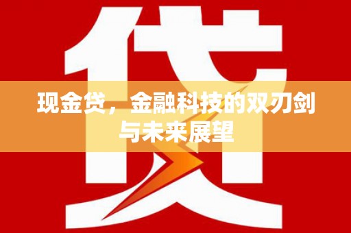 乌拉特后旗现金贷，金融科技的双刃剑与未来展望