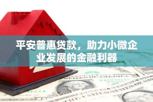 乌拉特后旗平安普惠贷款，助力小微企业发展的金融利器
