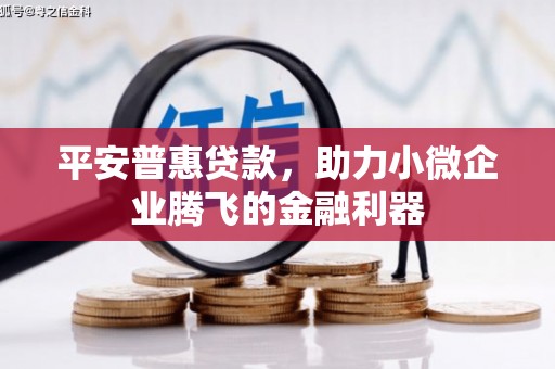 乌拉特后旗平安普惠贷款，助力小微企业腾飞的金融利器