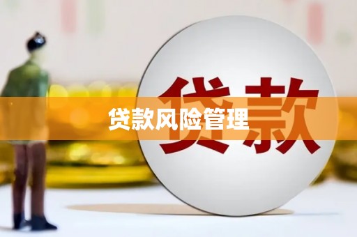 乌拉特后旗贷款风险管理