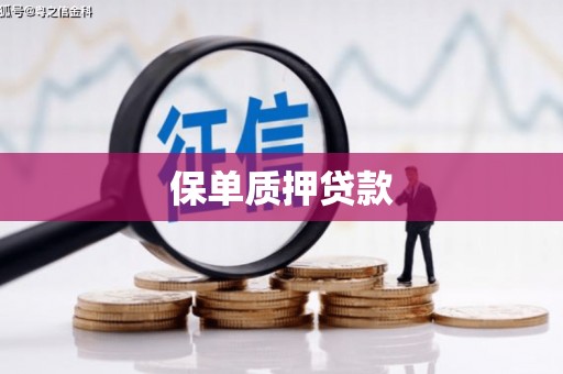 乌拉特后旗保单质押贷款