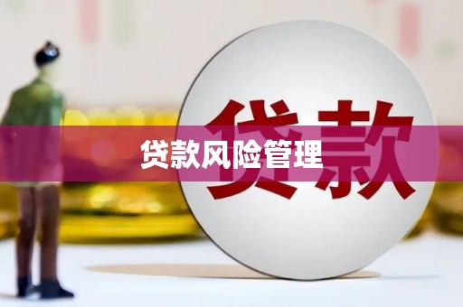 乌拉特后旗贷款风险管理