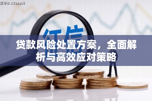 乌拉特后旗贷款风险处置方案，全面解析与高效应对策略