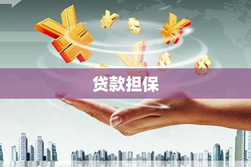 乌拉特后旗贷款担保