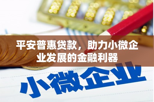 乌拉特后旗平安普惠贷款，助力小微企业发展的金融利器