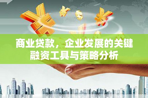 乌拉特后旗商业贷款，企业发展的关键融资工具与策略分析