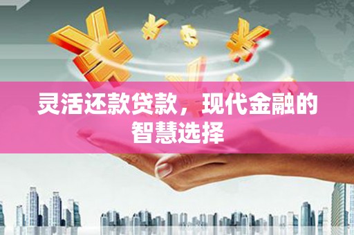 乌拉特后旗灵活还款贷款，现代金融的智慧选择
