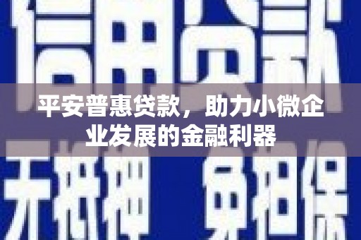 乌拉特后旗平安普惠贷款，助力小微企业发展的金融利器