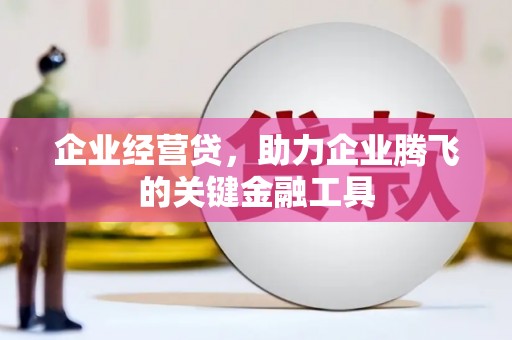 乌拉特后旗企业经营贷，助力企业腾飞的关键金融工具