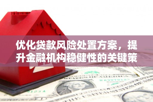 乌拉特后旗优化贷款风险处置方案，提升金融机构稳健性的关键策略