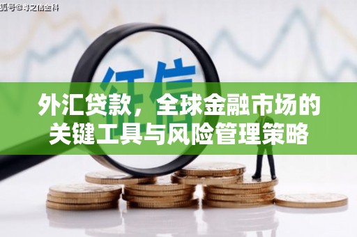 乌拉特后旗外汇贷款，全球金融市场的关键工具与风险管理策略