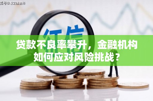 乌拉特后旗贷款不良率攀升，金融机构如何应对风险挑战？