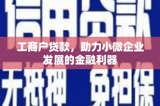 乌拉特后旗工商户贷款，助力小微企业发展的金融利器