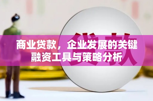乌拉特后旗商业贷款，企业发展的关键融资工具与策略分析