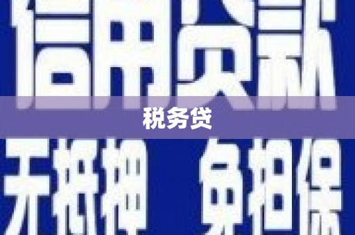 乌拉特后旗税务贷