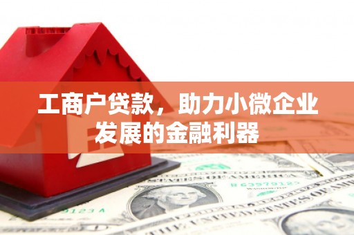 乌拉特后旗工商户贷款，助力小微企业发展的金融利器