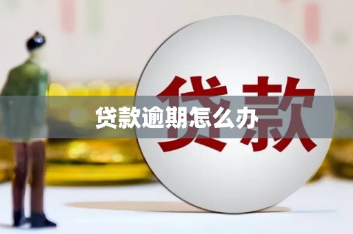 乌拉特后旗贷款逾期怎么办