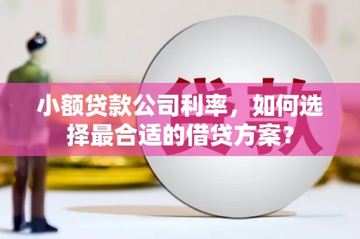 乌拉特后旗小额贷款公司利率，如何选择最合适的借贷方案？