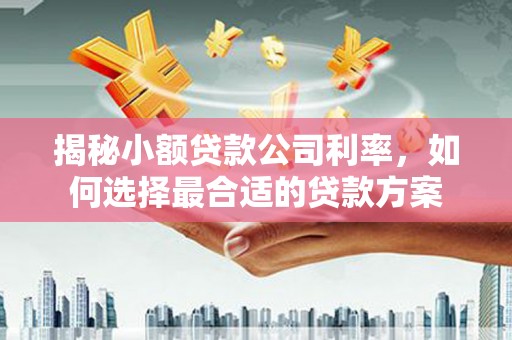 乌拉特后旗揭秘小额贷款公司利率，如何选择最合适的贷款方案