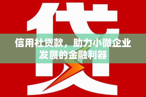 乌拉特后旗信用社贷款，助力小微企业发展的金融利器