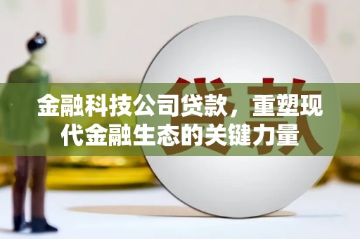 乌拉特后旗金融科技公司贷款，重塑现代金融生态的关键力量