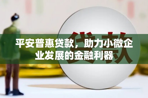 乌拉特后旗平安普惠贷款，助力小微企业发展的金融利器