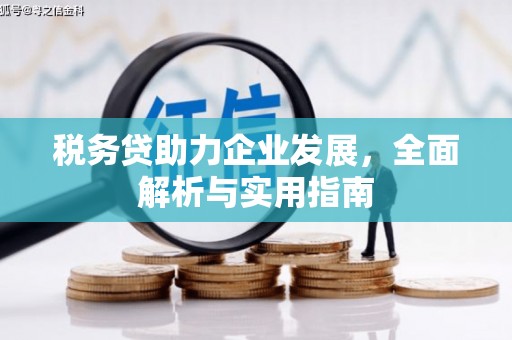 乌拉特后旗税务贷助力企业发展，全面解析与实用指南