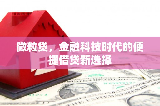 乌拉特后旗微粒贷，金融科技时代的便捷借贷新选择