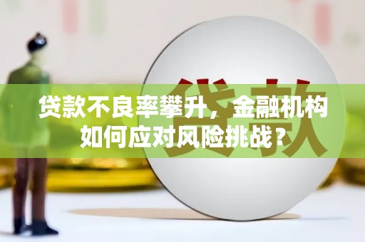 乌拉特后旗贷款不良率攀升，金融机构如何应对风险挑战？
