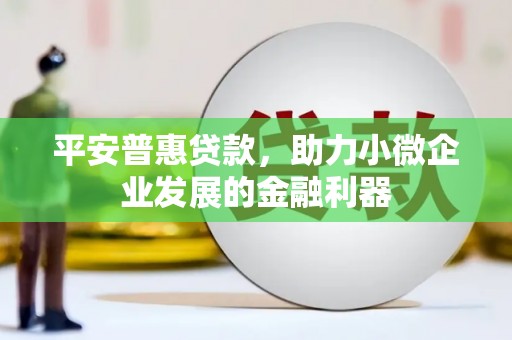 乌拉特后旗平安普惠贷款，助力小微企业发展的金融利器