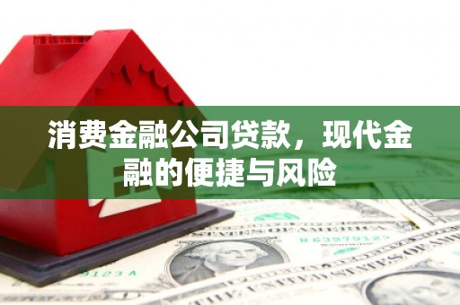 乌拉特后旗消费金融公司贷款，现代金融的便捷与风险